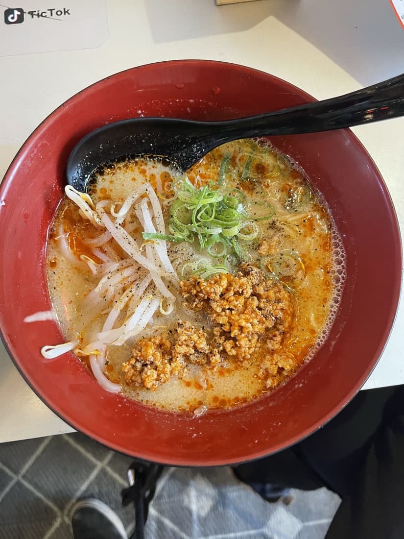 Spicy dandan noodles with minced pork, bean sprouts and green onion in a red bowl